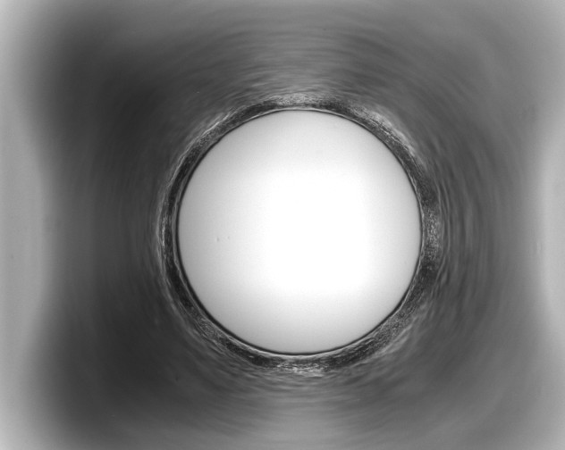 X0000098220491200804241136