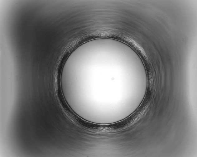 X0000098220493200804241136