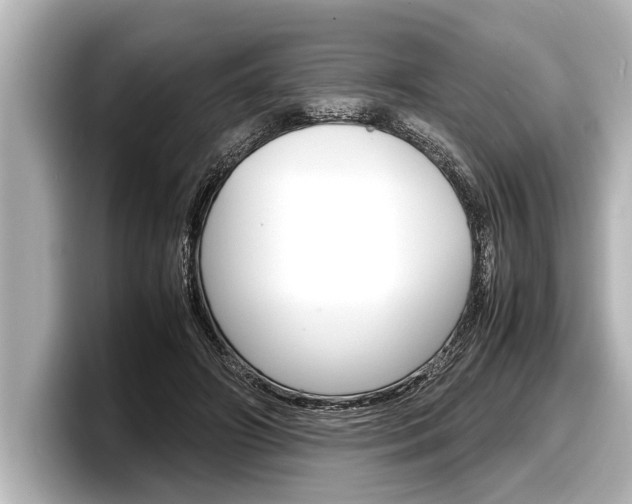X0000098220498200804241136