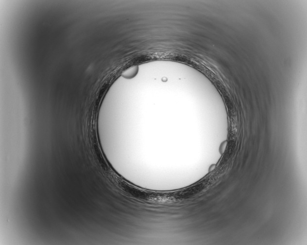 X0000098220503200804241136