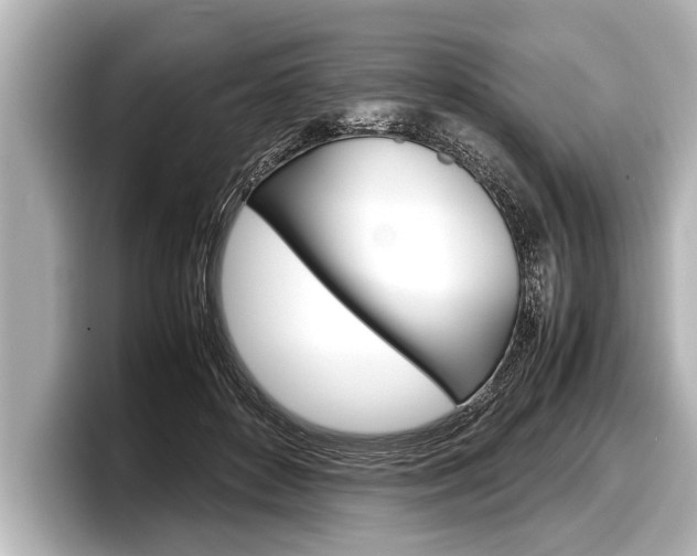 X0000098220504200804241136