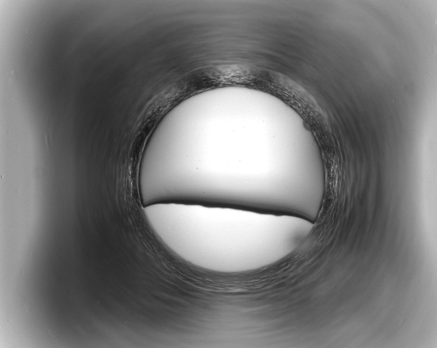 X0000098220506200804241136