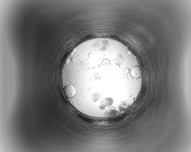 X0000098220507200804241136