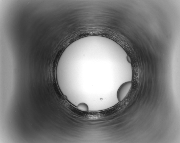 X0000098220510200804241136