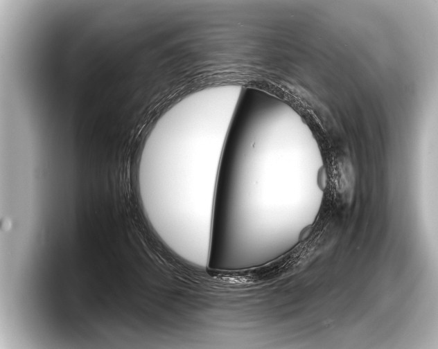 X0000098220512200804241136