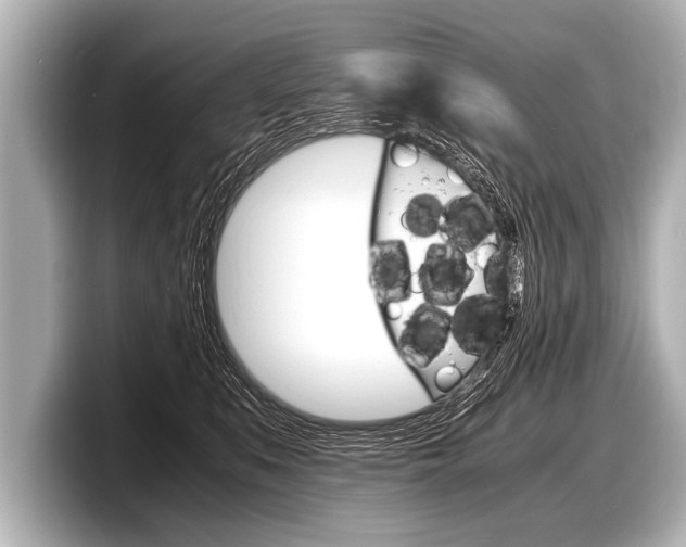 X0000098220519200804241136
