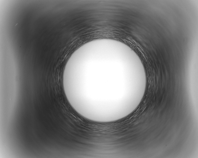 X0000098220520200804241136