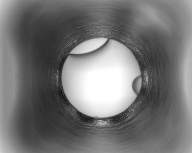 X0000098220522200804241136