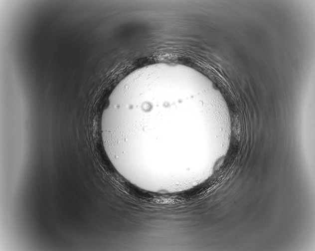 X0000098220523200804241136