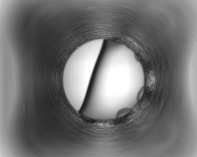 X0000098220524200804241136