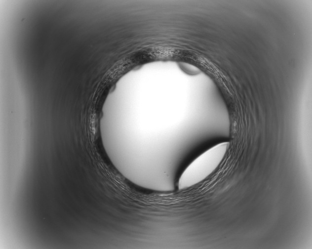 X0000098220525200804241136