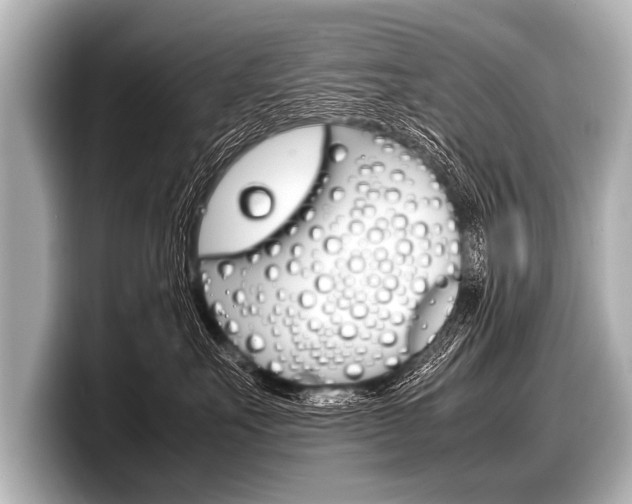 X0000098220527200804241136