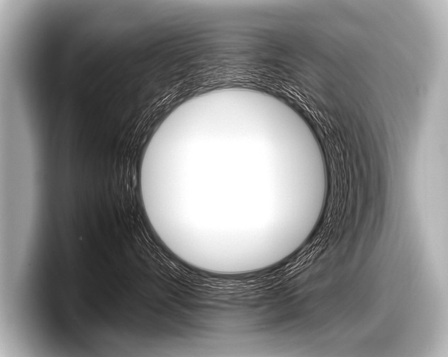 X0000098220528200804241136
