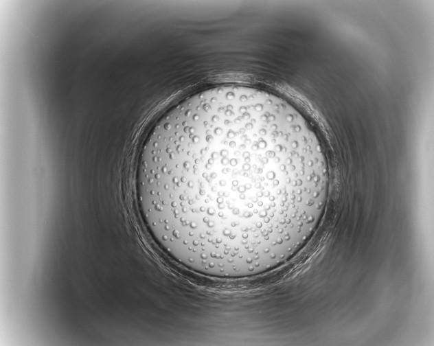 X0000098220529200804241135