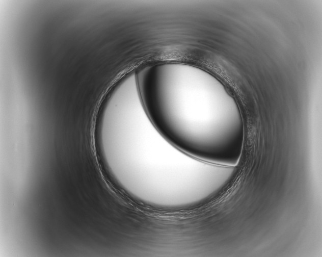 X0000098220530200804241135