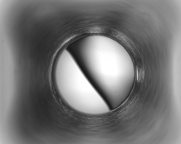 X0000098220531200804241135