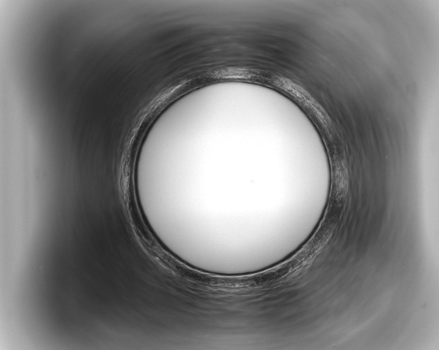 X0000098220533200804241135