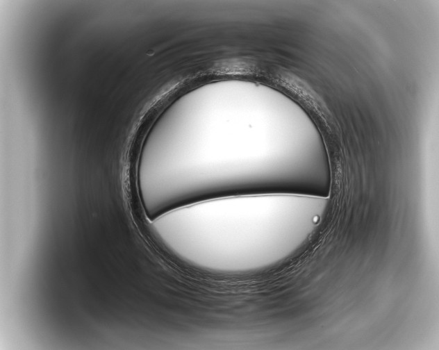 X0000098220535200804241135