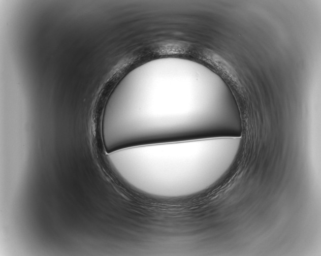 X0000098220539200804241135