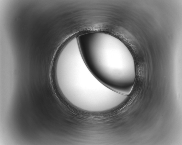 X0000098220540200804241135