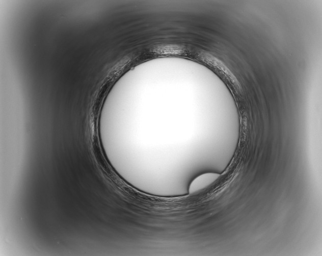 X0000098220541200804241135
