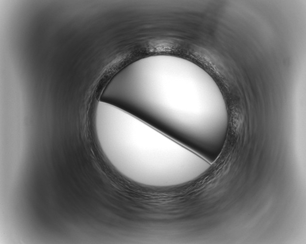 X0000098220543200804241135