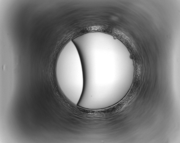 X0000098220545200804241135