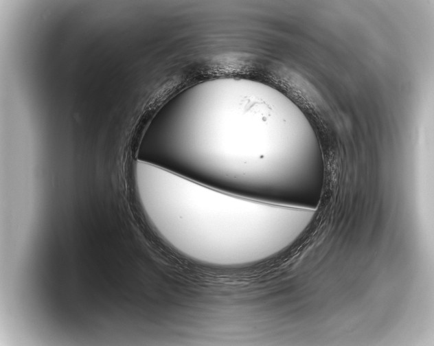 X0000098220546200804241135