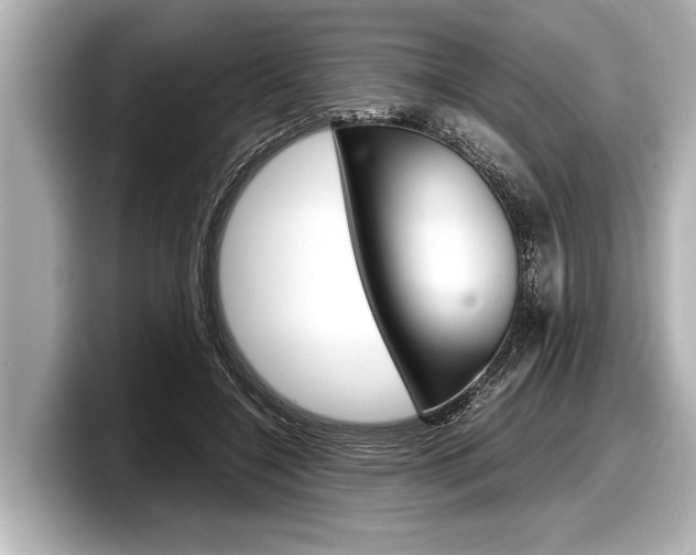 X0000098220548200804241135