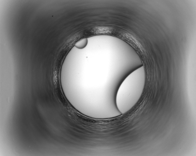 X0000098220549200804241135