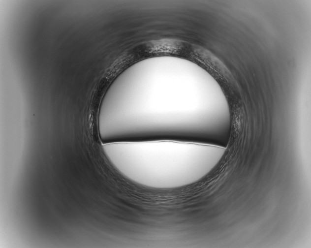 X0000098220551200804241135