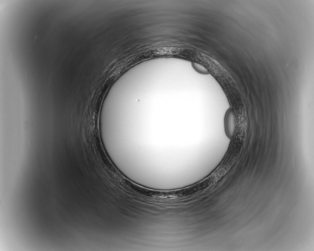 X0000098220554200804241135