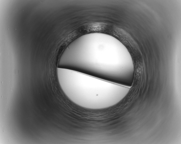 X0000098220555200804241135