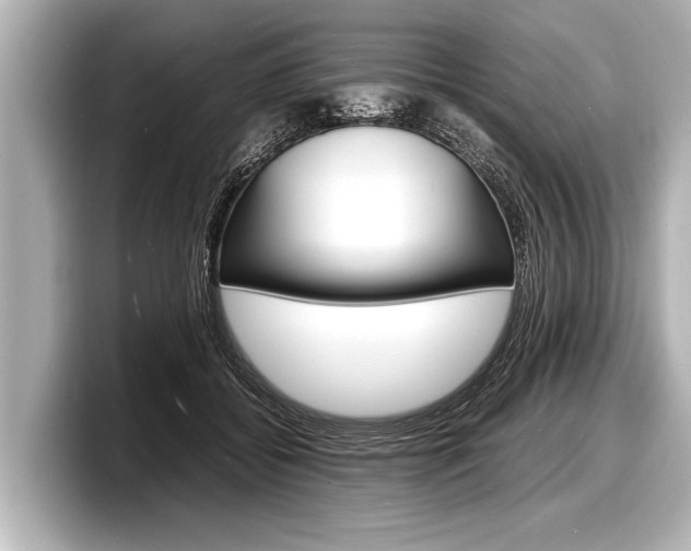 X0000098220556200804241135