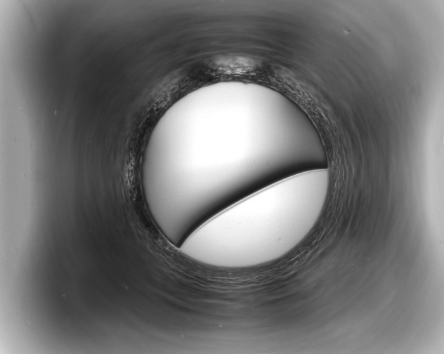 X0000098220559200804241135