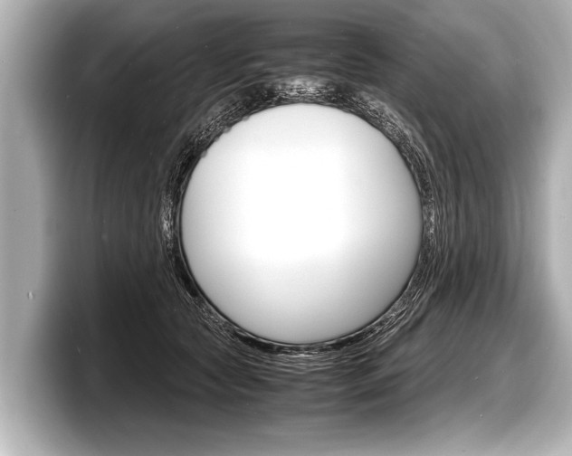 X0000098220561200804241135