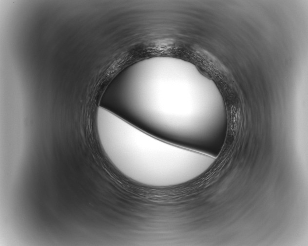 X0000098220562200804241135
