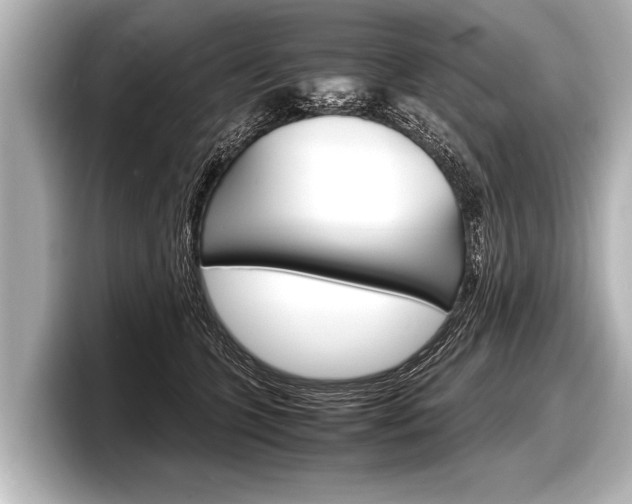 X0000098220563200804241135