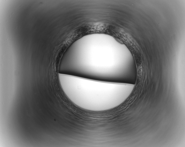 X0000098220564200804241135