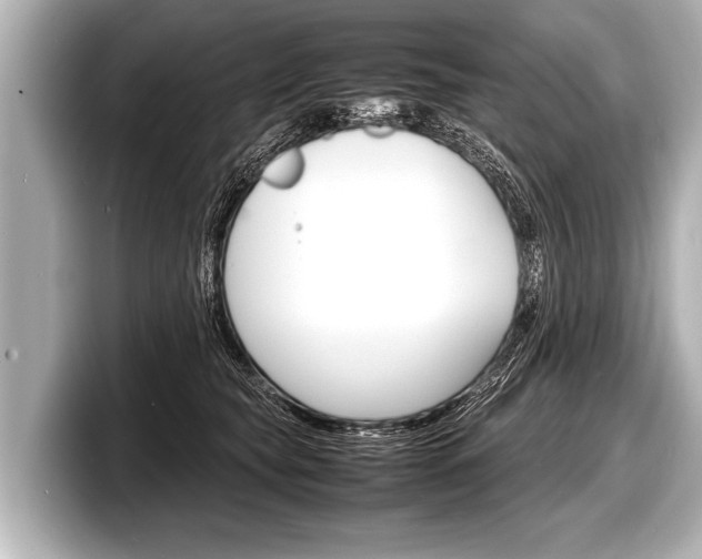 X0000098220565200804241135