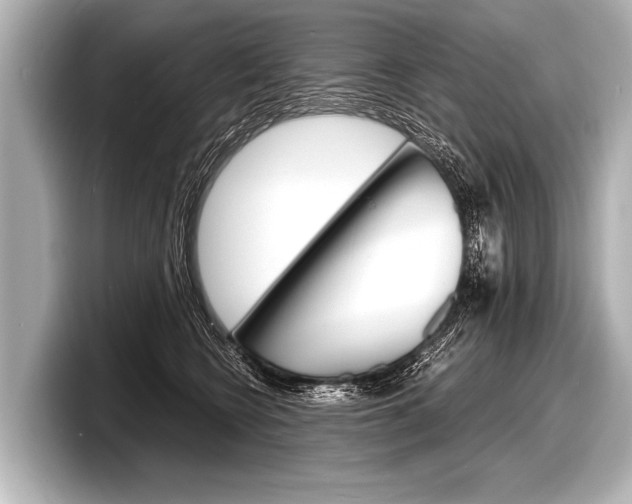 X0000098220566200804241135