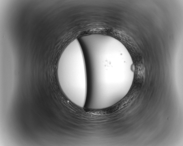 X0000098220567200804241135