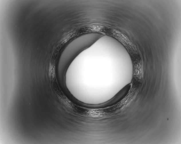 X0000098220568200804241135