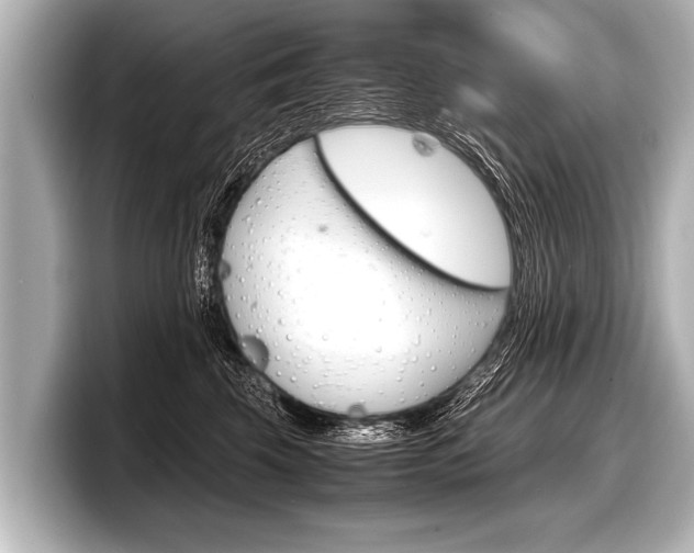 X0000098220569200804241135