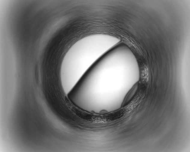 X0000098220572200804241136