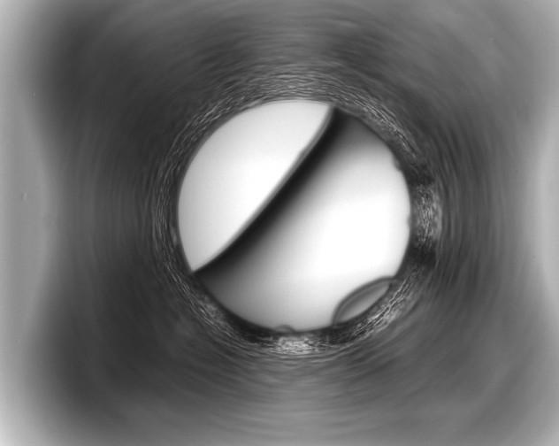 X0000098220574200804241136
