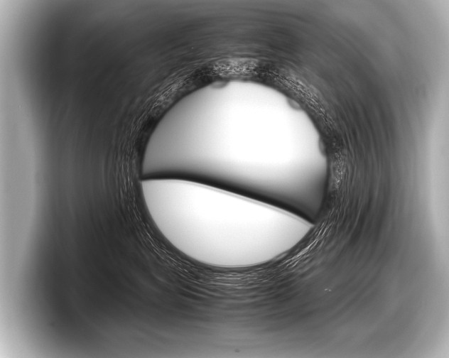 X0000098220575200804241136