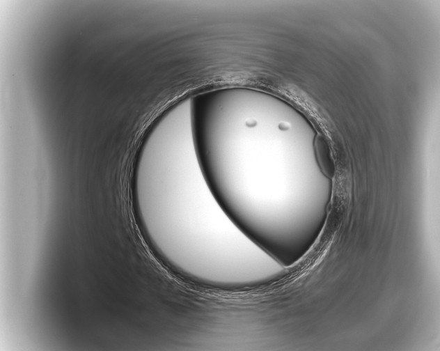 X0000098220577200804241135