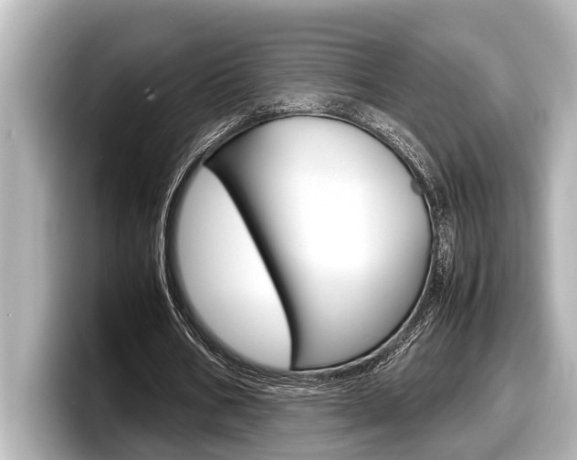 X0000098220578200804241135