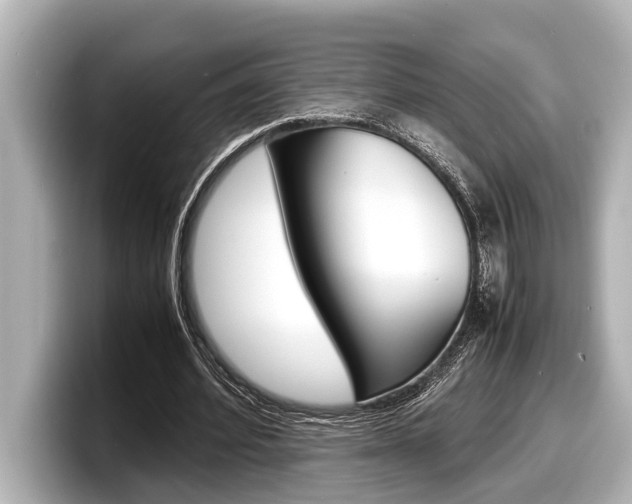 X0000098220580200804241135